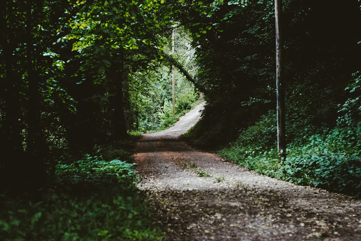 Der Weg zur besseren Lebensqualität